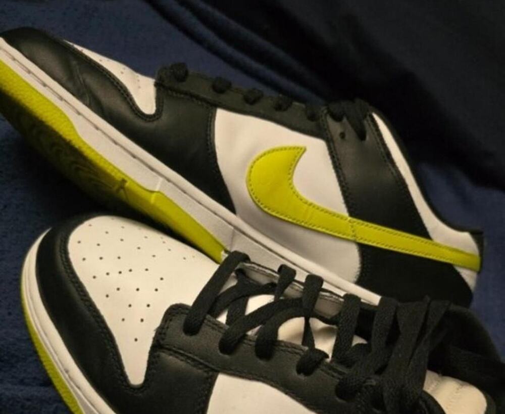 Nike Dunk Low Panda Sneakers